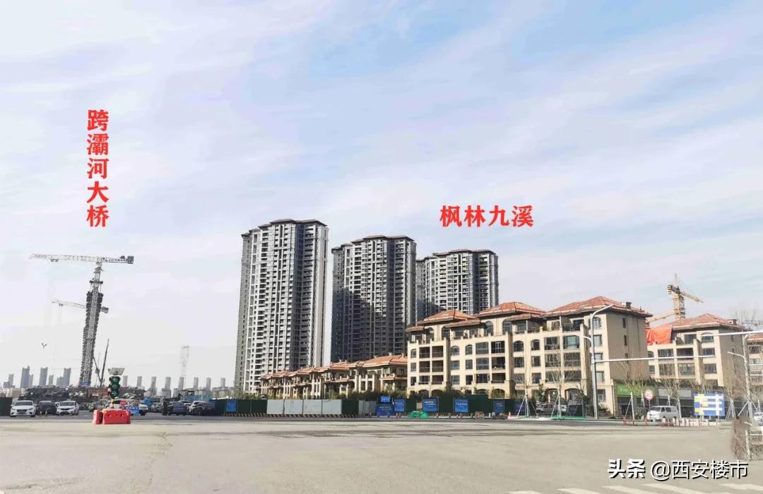 金地新盘为什么不开,奥体金地新盘