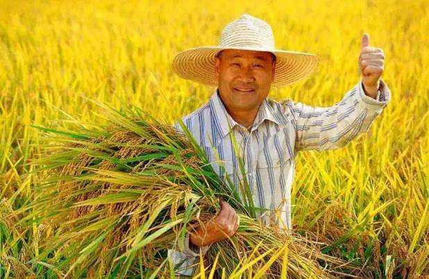 探析日本农业：从8个方面的比较分析，看中日农业差异（上篇）