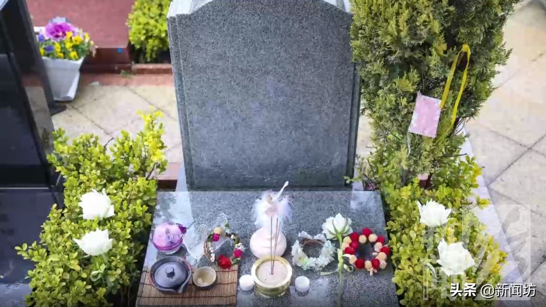 上海滨海古园云祭扫,上海公墓清明期间可以网上祭扫吗