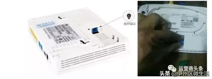 疫情防控一点通,疫情便民一码通