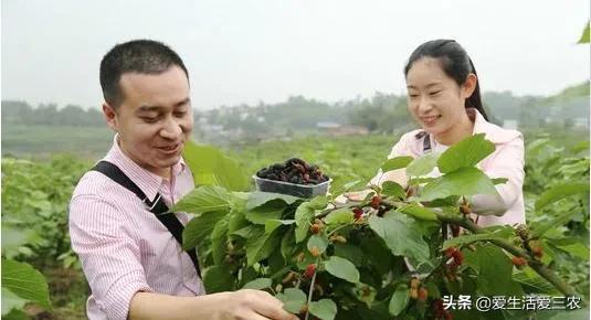 摆地摊卖袜子生意入门技巧,摆地摊一元一双的袜子怎么拿货