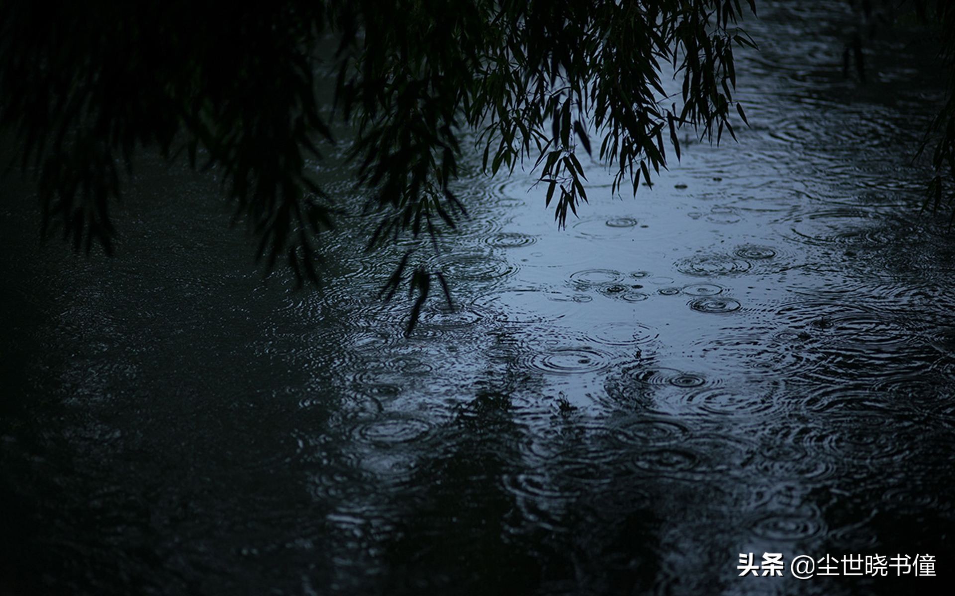 夜里突降暴雨！旅途中的杨万里信手拈来，写下了一首经典的咏雨诗