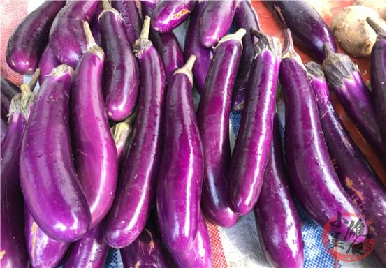 如何挑选茄子的技巧,最好的茄子挑选方法