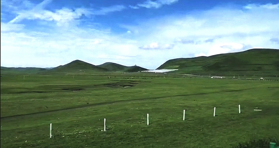 故地重游若尔盖草原美丽依旧,重游若尔盖红原大草原