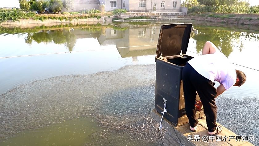 你还在守着塘口做无用功吗？渔业新时代即将到来，解放双手的同时，还能实现精准养殖
