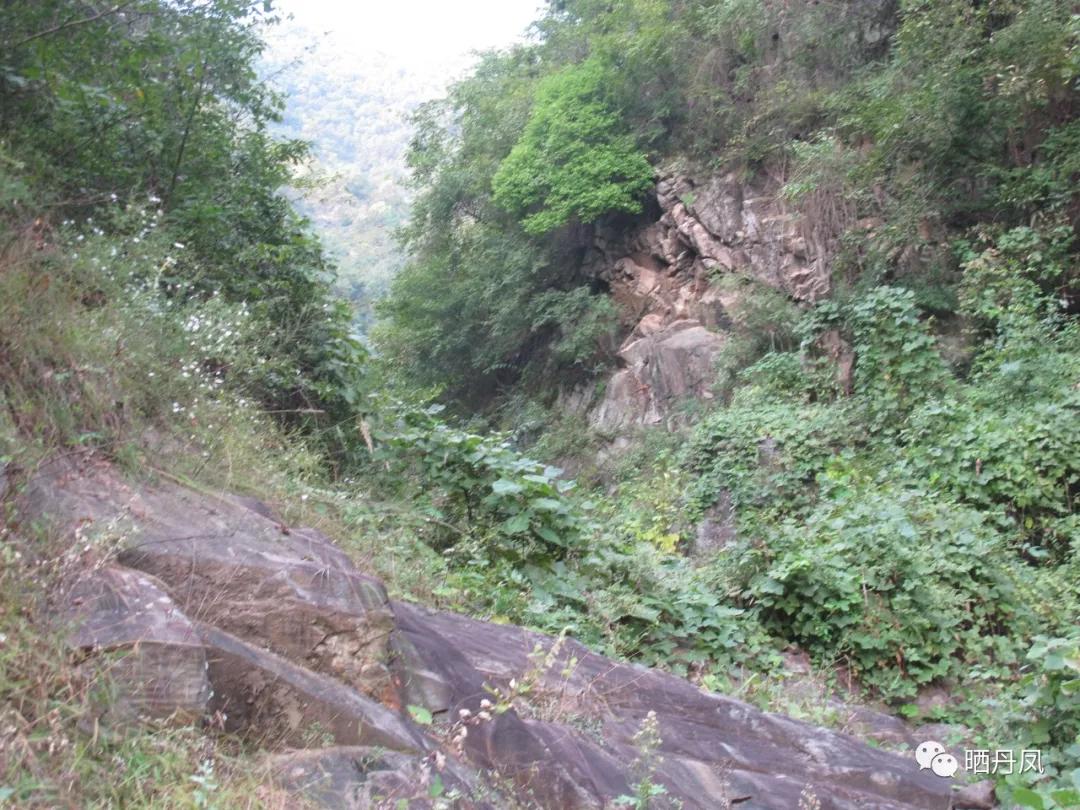 柯玲：琵琶沟，我的老家