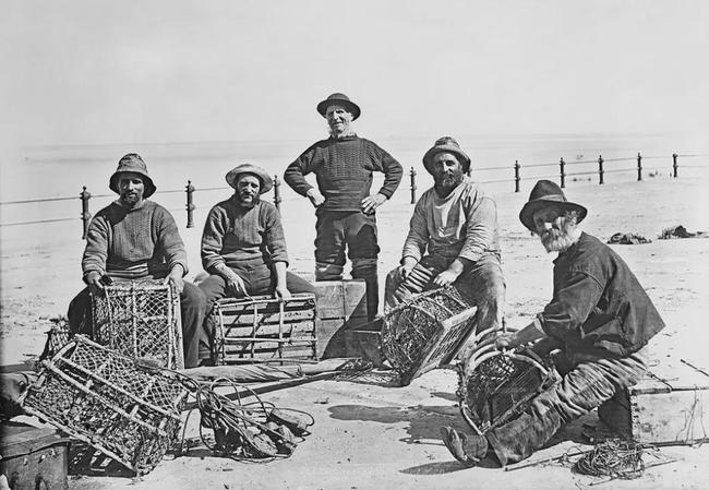 美洲螯龙虾怎么分解,美洲螯龙虾波士顿龙虾