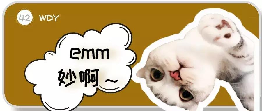 猫咪的各种表现表达的意思,猫咪的各种动作代表什么