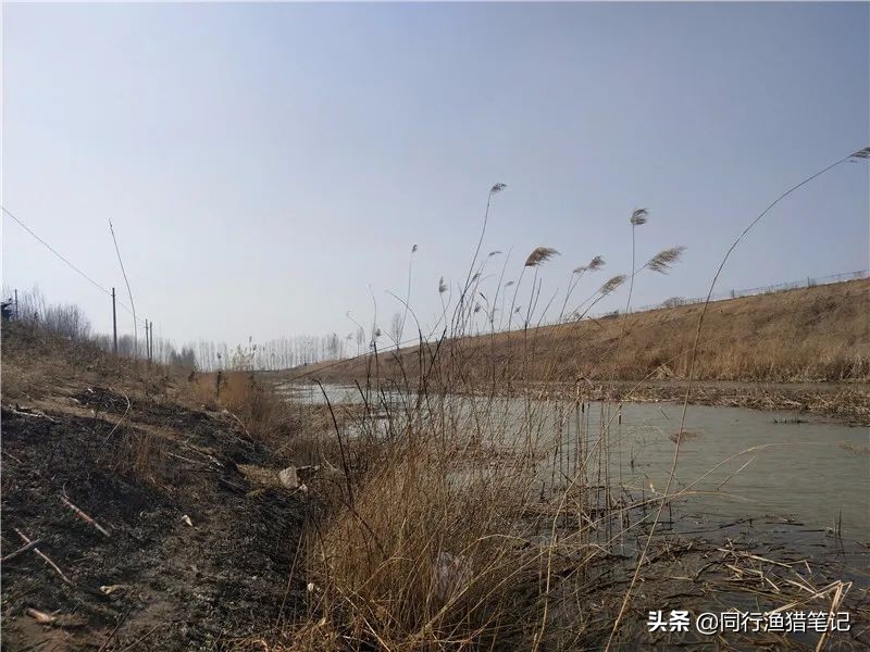 迎着倔强的西南风，抓耳挠腮与网工抢鱼，哪里说理儿去