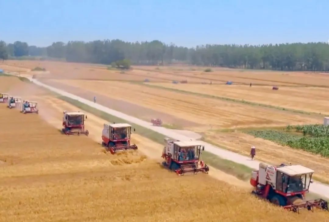 安徽未来会成为包邮区吗,安徽是包邮区域吗