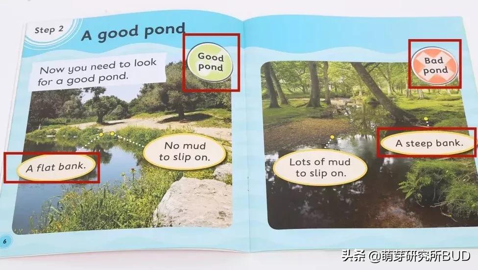 语感不好的孩子怎么学英语,孩子英语从零基础怎么学容易懂