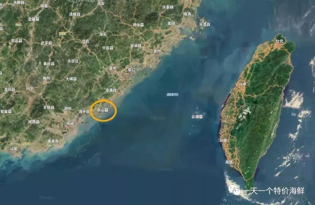 渔家女揭露海鲜市场黑幕,渔家女海鲜视频