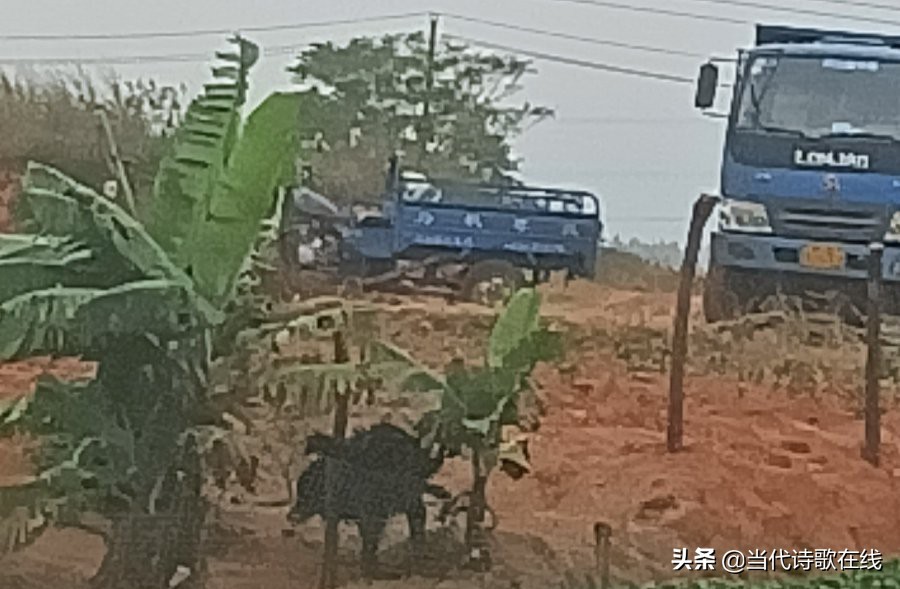 当代诗歌及诗评,当代诗歌精选30首