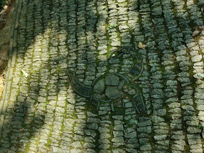 苏州上方山森林公园景点介绍,苏州市上方山森林公园攻略