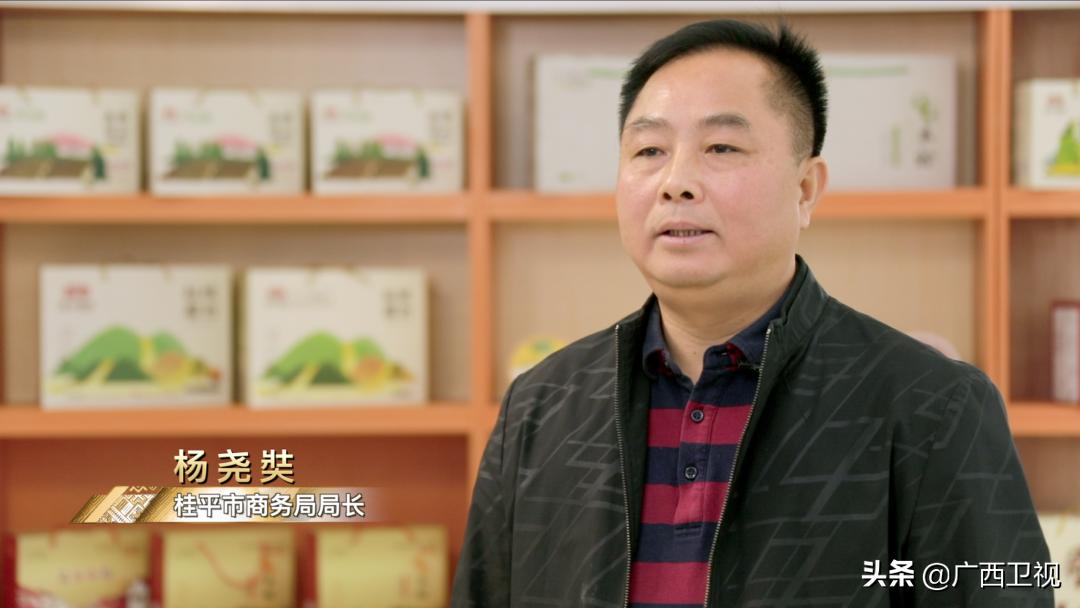 广西构建对外开放新支点,广西对外开放提出什么发展战略