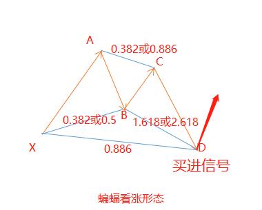 蝙蝠形态和蝴蝶形态指标,汇课堂深度解读