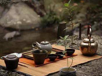 普洱茶大品牌好还是杂牌的好,普洱茶和大厂口粮哪个靠谱