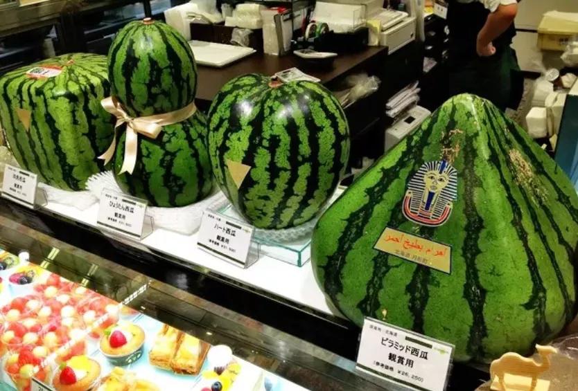 纳尼?为什么日本人不会嗑瓜子?看到中国人单手“吃”惊呆!