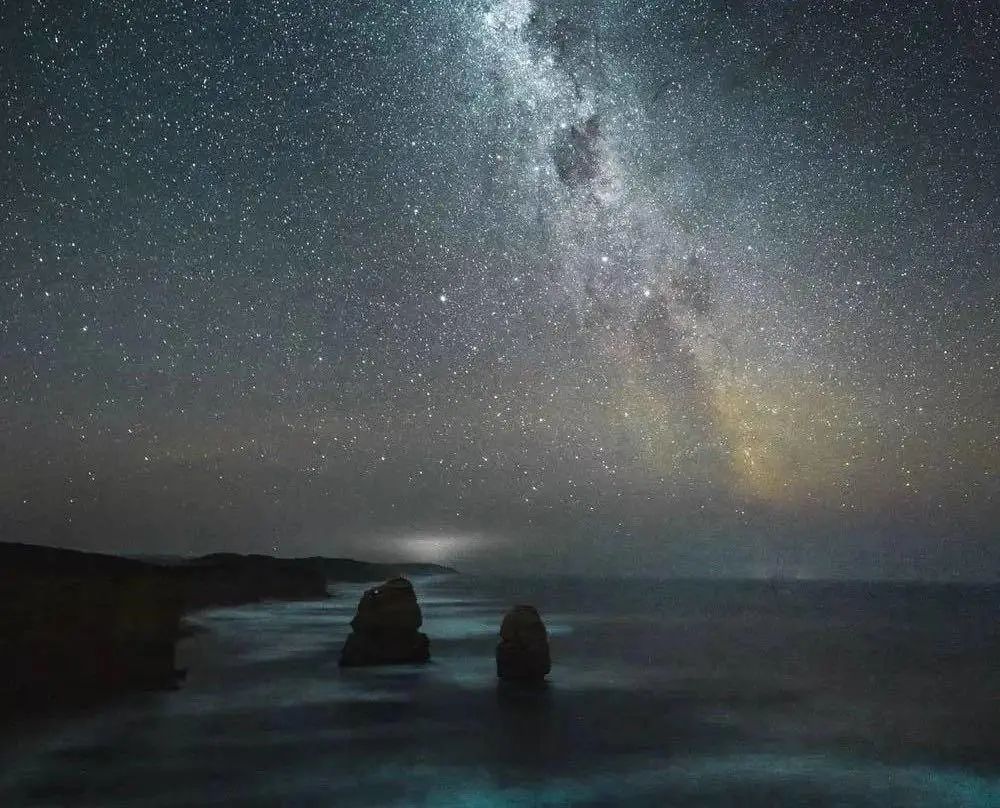 新冠牌啤酒,新冠疫情造成了怎样的损失