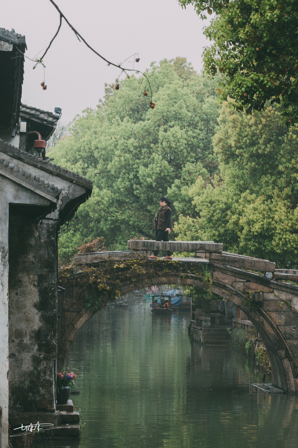 梦里水乡乌镇周庄风景视频,周庄版梦里水乡