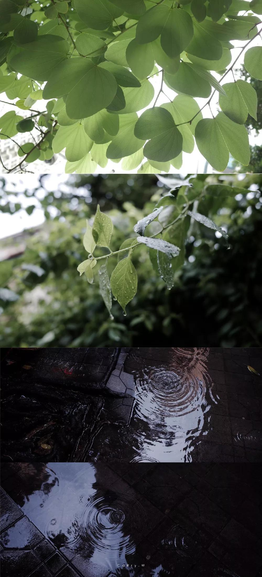 掌握摄影七大要素,掌握摄影三要素