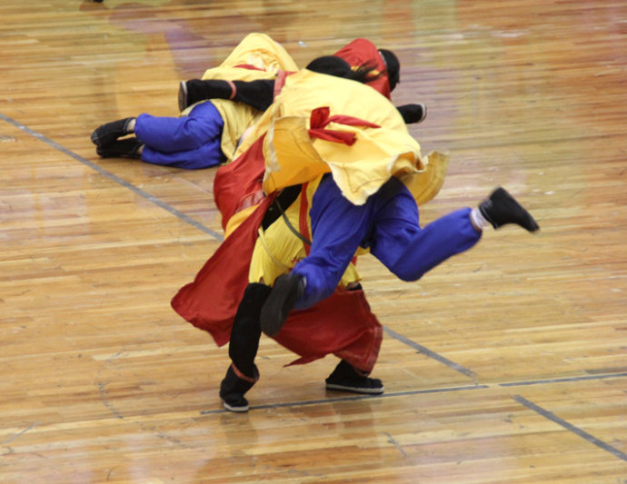 中国56个民族知识大全书籍,关于中国56个民族的知识