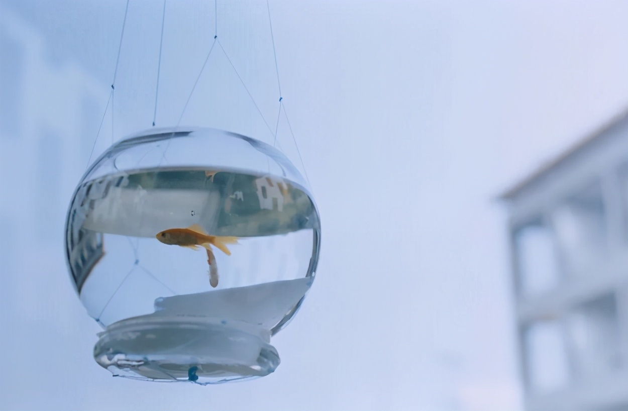 公公看上儿媳陪嫁，四处炫富，亲家提前做财产公证，婚前双方反目