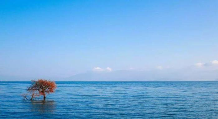 期货投资的三个经验,期货交易十大秘诀技巧图解