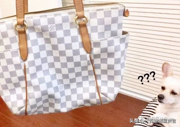 非常好看的宠物包,大家的包都带什么玩偶