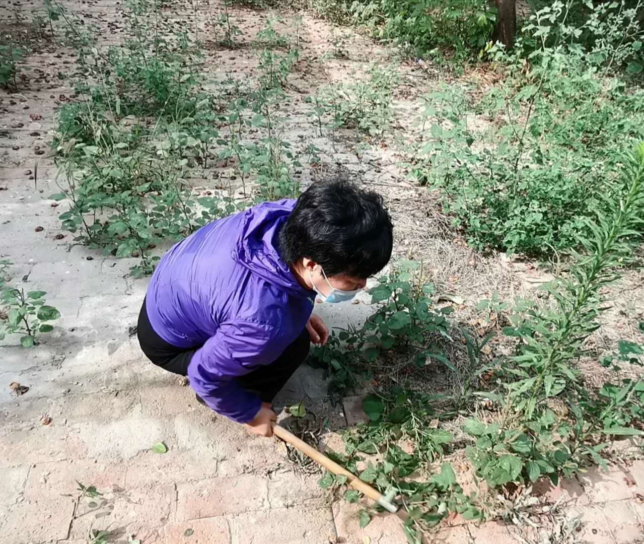 回老家陪爸爸妈妈一起过端午节,带着孩子回家陪他奶奶过端午节