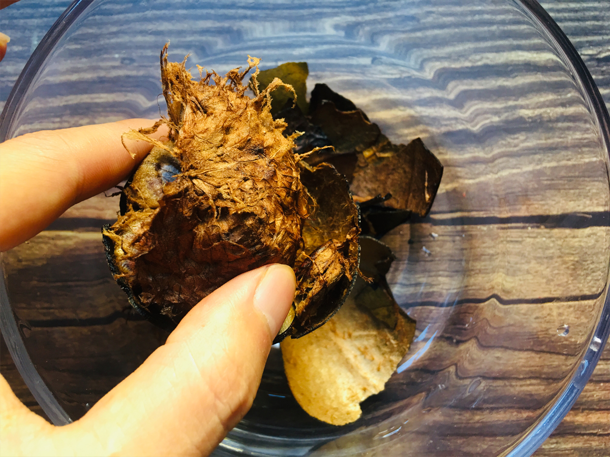 夏天生姜茶凉了喝有效果吗,夏季喝生姜茶祛湿气