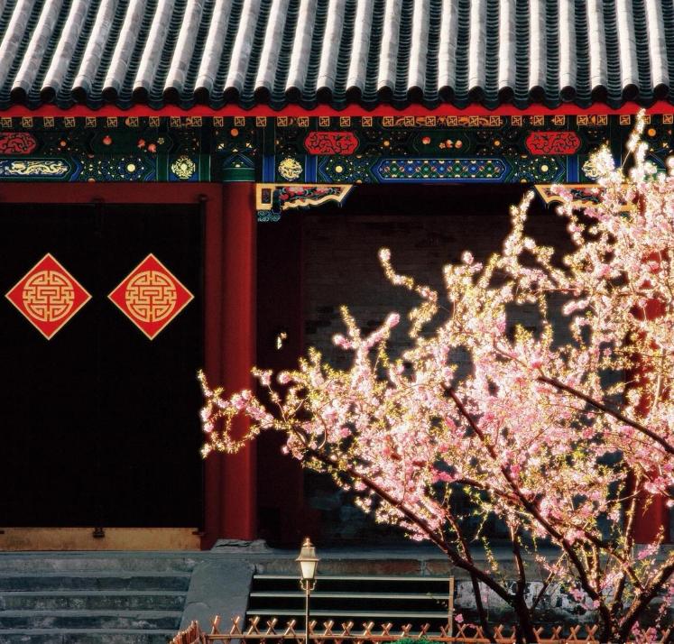 花2亿建的11层豪宅,最贵13层私人豪宅