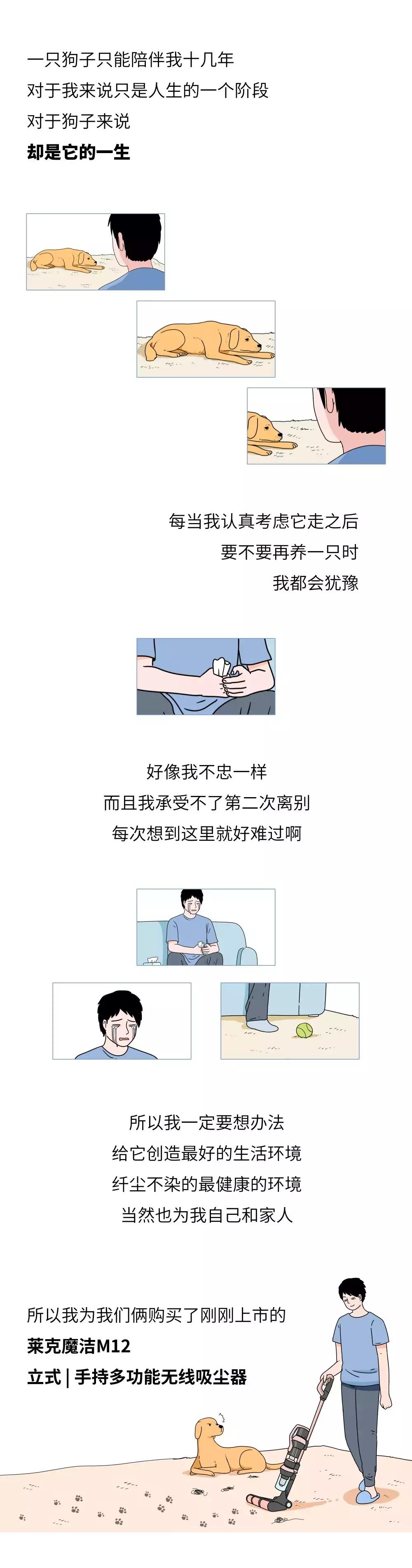 养狗和养猫的区别太真实了,养狗和养猫的五大区别