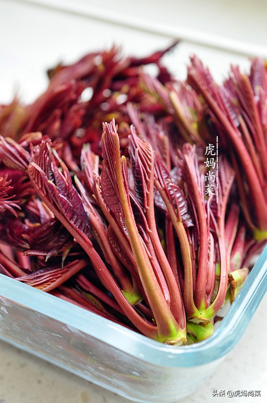 香椿面包正宗做法,香椿芽怎么烫着吃好吃