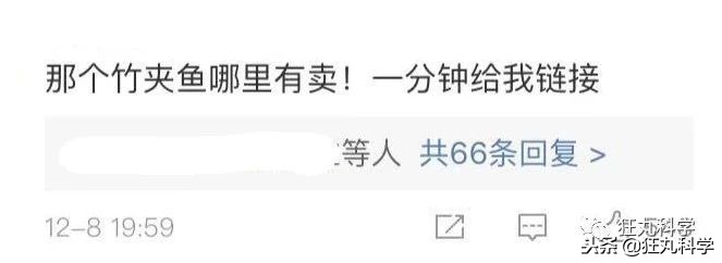 鏃ユ湰鐚村瓙鍚冮奔,绉冨ご鐚村瓙鍚冮奔