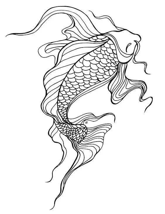 转运锦鲤简笔画,简笔画100种锦鲤图片