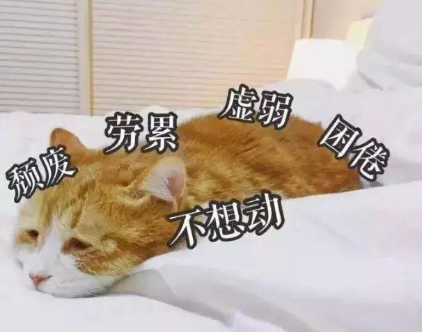 广州代购都去哪里,广州家具代购