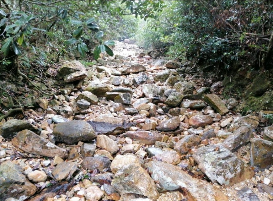 被记忆封尘的男人,一个真实的故事