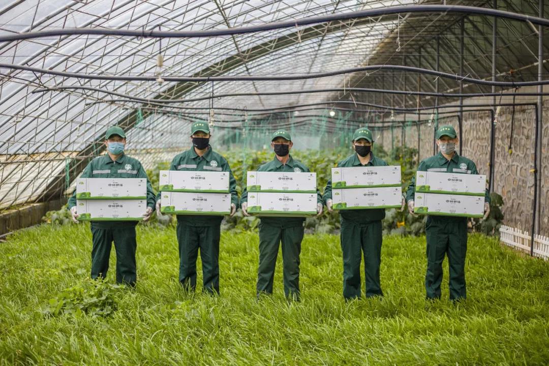 品牌战役宣传片,品牌战役宣传报道