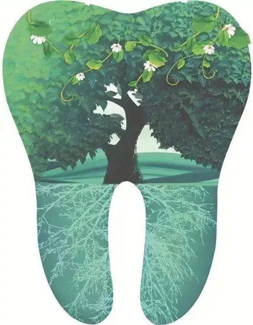 日照口腔医院种牙价目表,日照口腔医院种植牙价目表