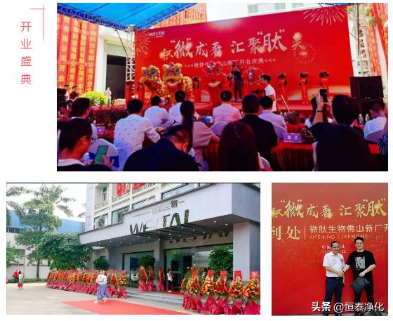 素雅别致天然妆成——微肽佛山办公室鉴赏