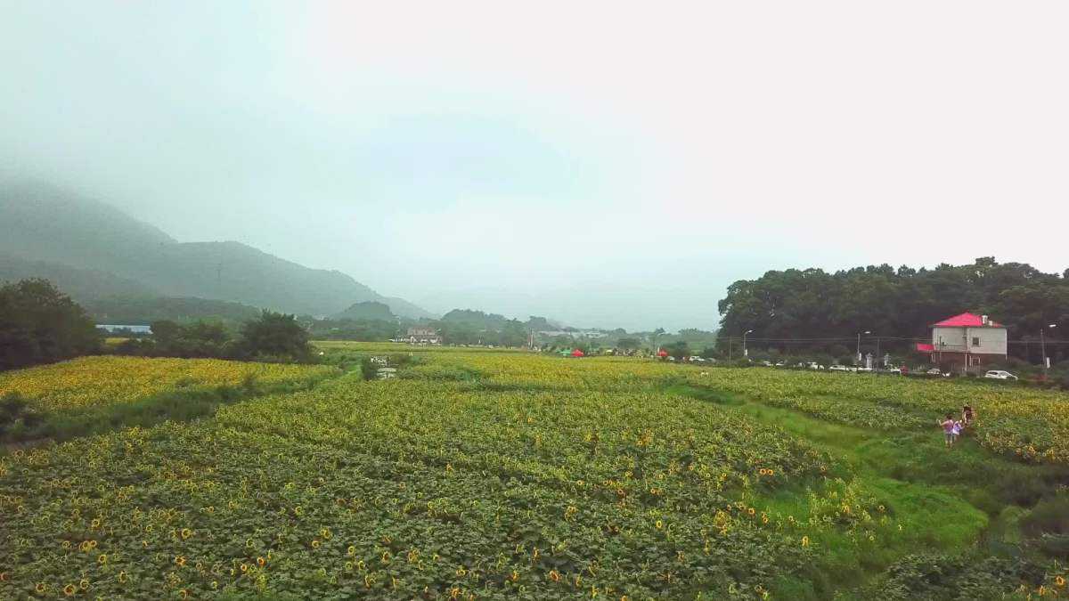 长沙周边比较小众的旅游景点,长沙人最喜欢去的十大景点排名