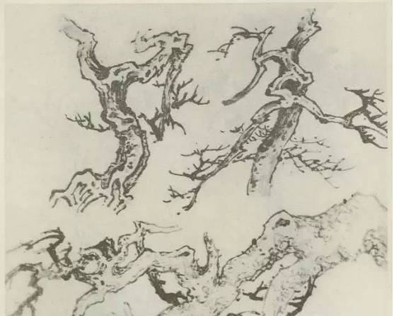 画树教程,怎么画树好看又超级简单