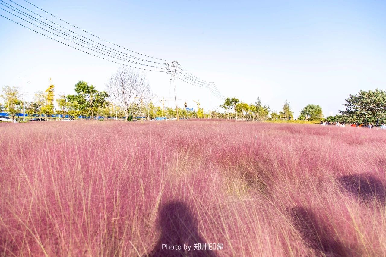 郑州地铁1号线沿线景点,郑州地铁三号线沿线各景点