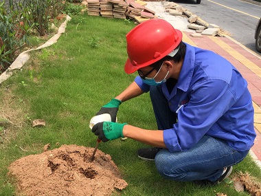 白蚁防治常用的工具和方法有哪些,白蚁防治流程和方法及设备