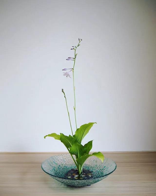 一花一世界一叶一菩提本来无一物,一花一世界一叶一菩提一场梦