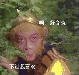 ysl杨树林香水黑鸦片,黑鸦香水哪个版本最好