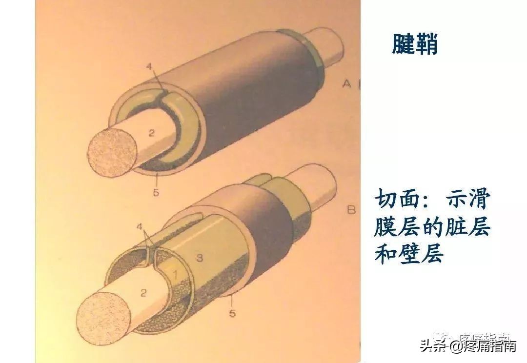 慢性疼痛常用的治疗方法,慢性疼痛常用治疗方法
