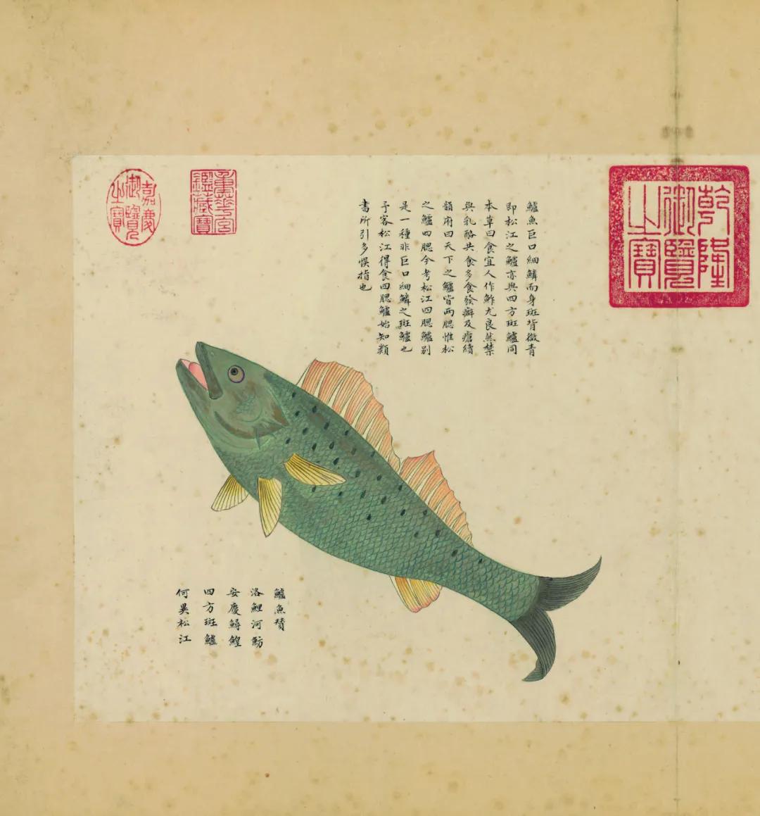 世界那么大我想去看看读书笔记,世界那么大我想去看看古诗