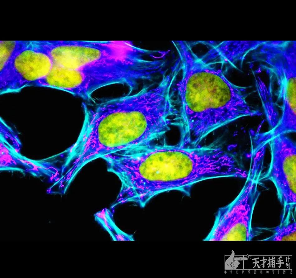 濂冲効鍙戠幇姣嶄翰姝讳簡,濂冲効鍘讳笘5骞村彂鐜拌嚜宸辫繕娌℃